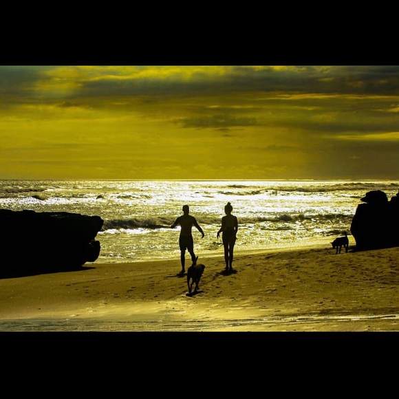 Meet your Posher, Oshen π¦π¬π§ - Picture 3 of 16